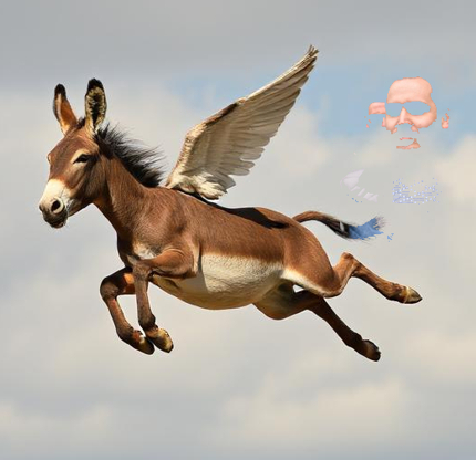 Andrea Sempio e asini volanti