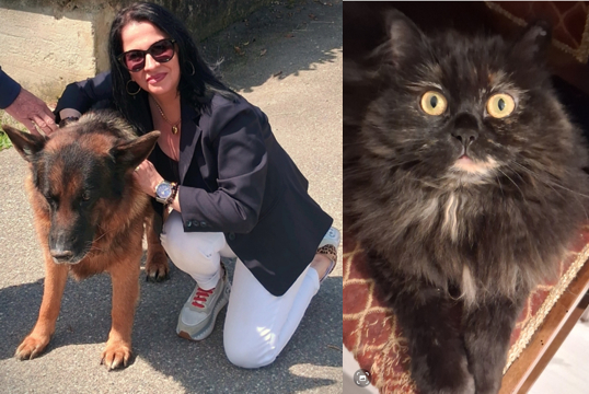 Micio e amico Fido: no all'abbandono